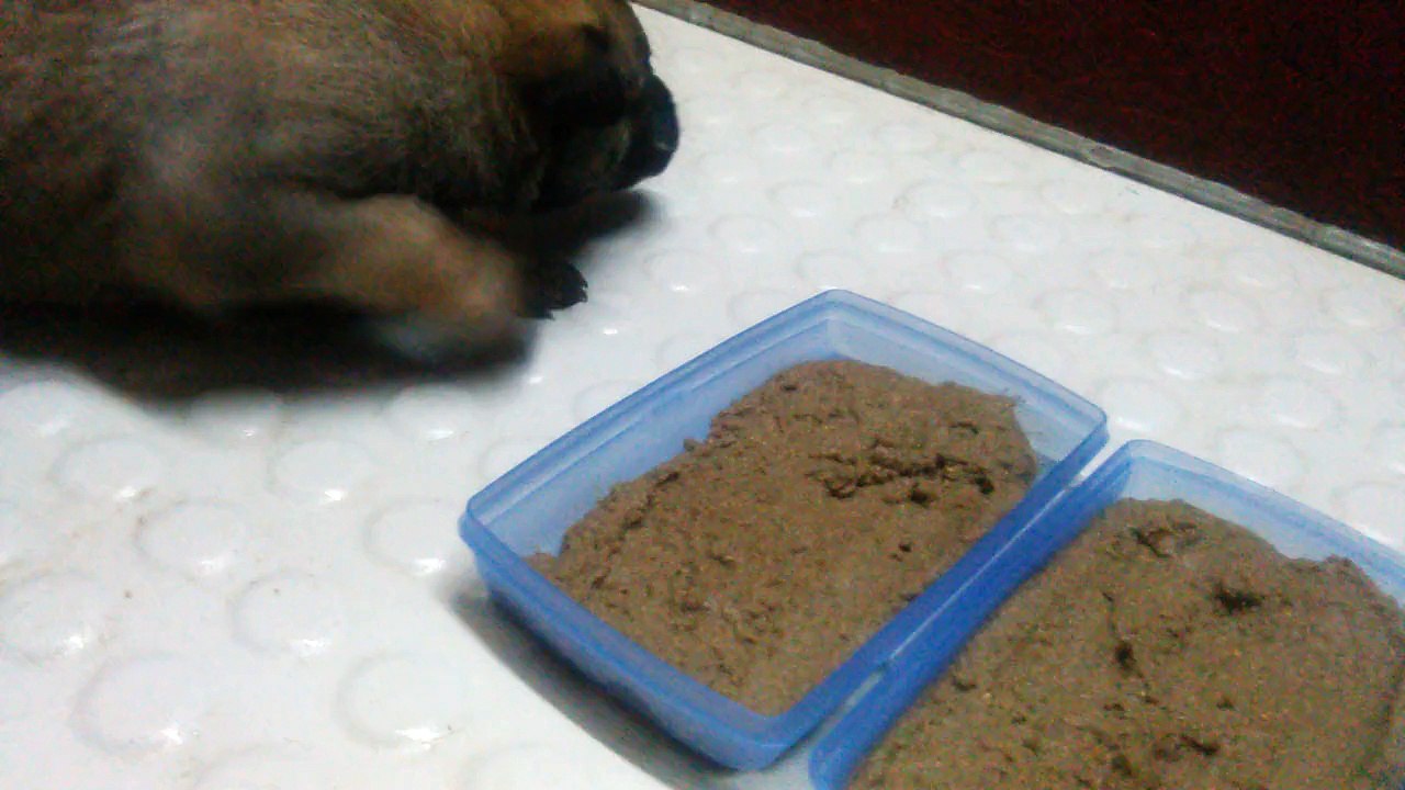 Be Aware H's @ Das große Fressen - Teil 1