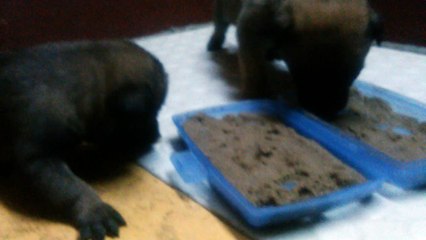 Be Aware H's @ Das große Fressen - Teil 2