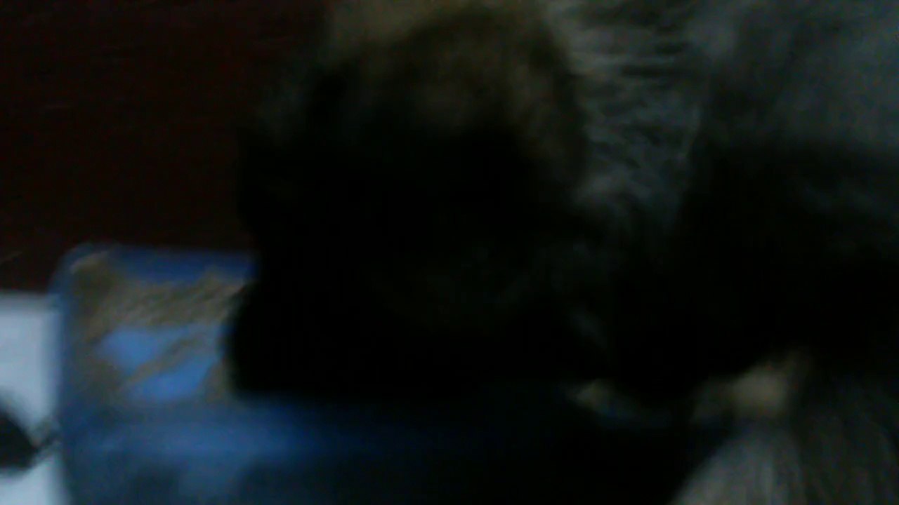 Be Aware H's @ Das große Fressen - Teil 4