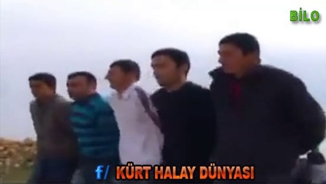 MARDİN OMUZ HALAYI ASIL MARDİN HALAYI BU İŞTE