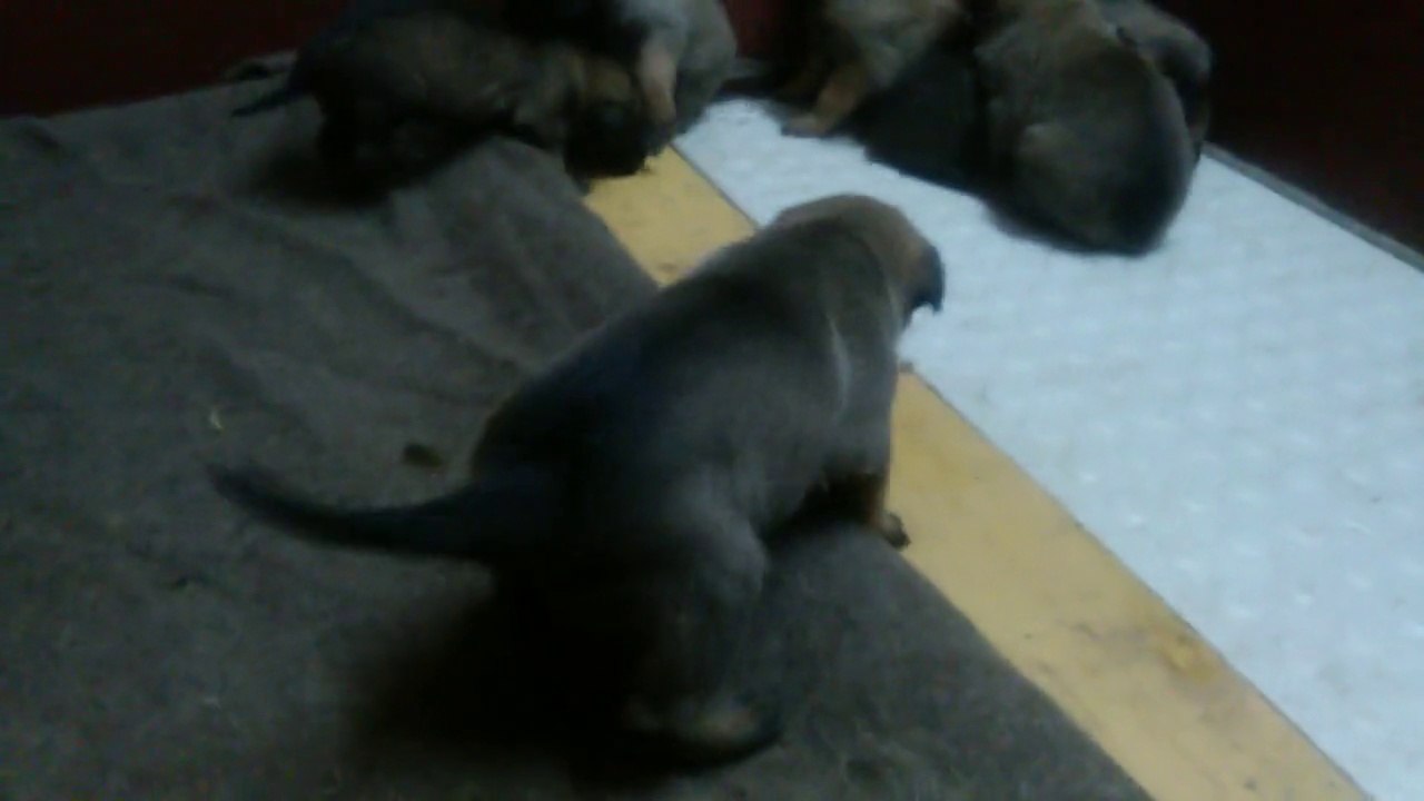 Be Aware H's @ Rumble in the box-1