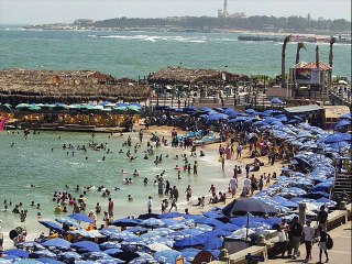 بين شطين و ميه - محمد قنديل