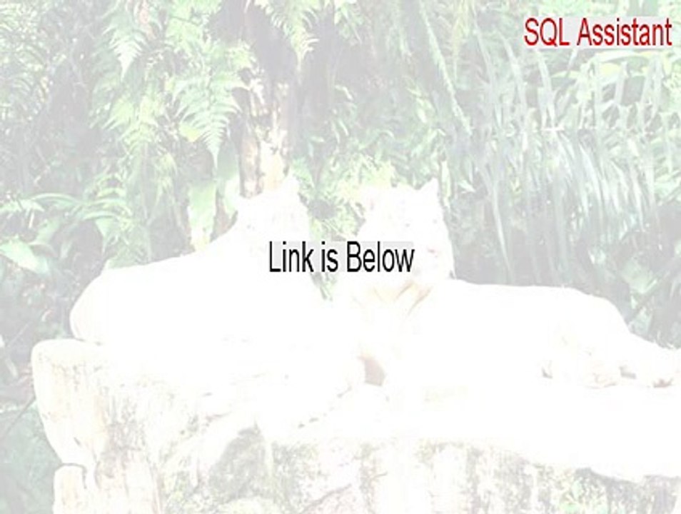 SQL Assistant Full [Download Now]
