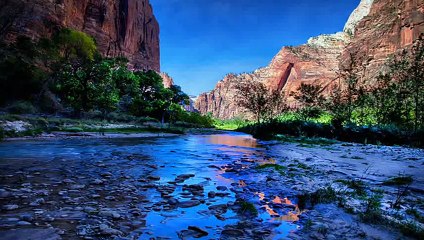 Zion National Park -  Utah, United States