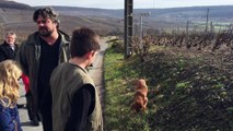 Démonstration de cavage avec un chien truffier à Fleury-la-Rivière, au champagne David-Heucq