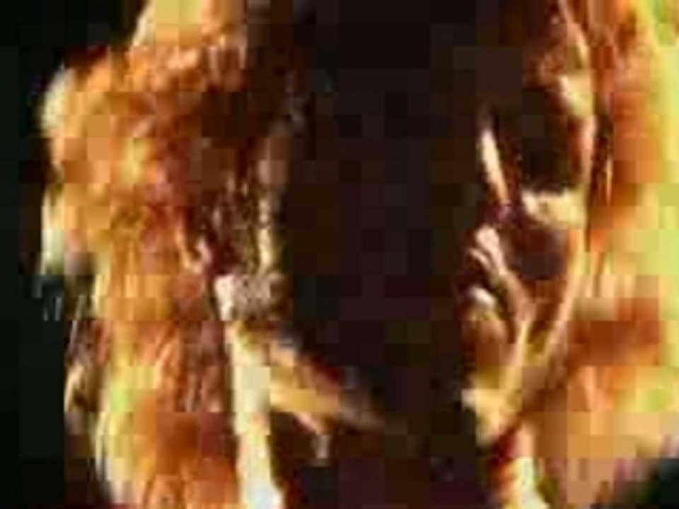 GoJira : i embrace the world (live)