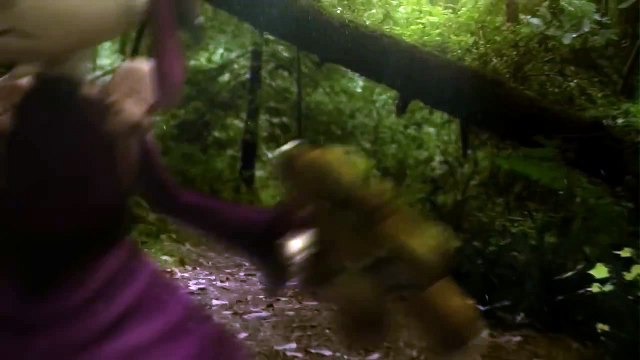 Official League of Legends Teaser - League of Legends