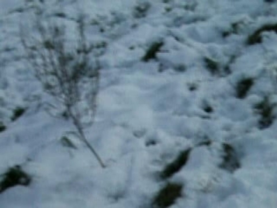Video1