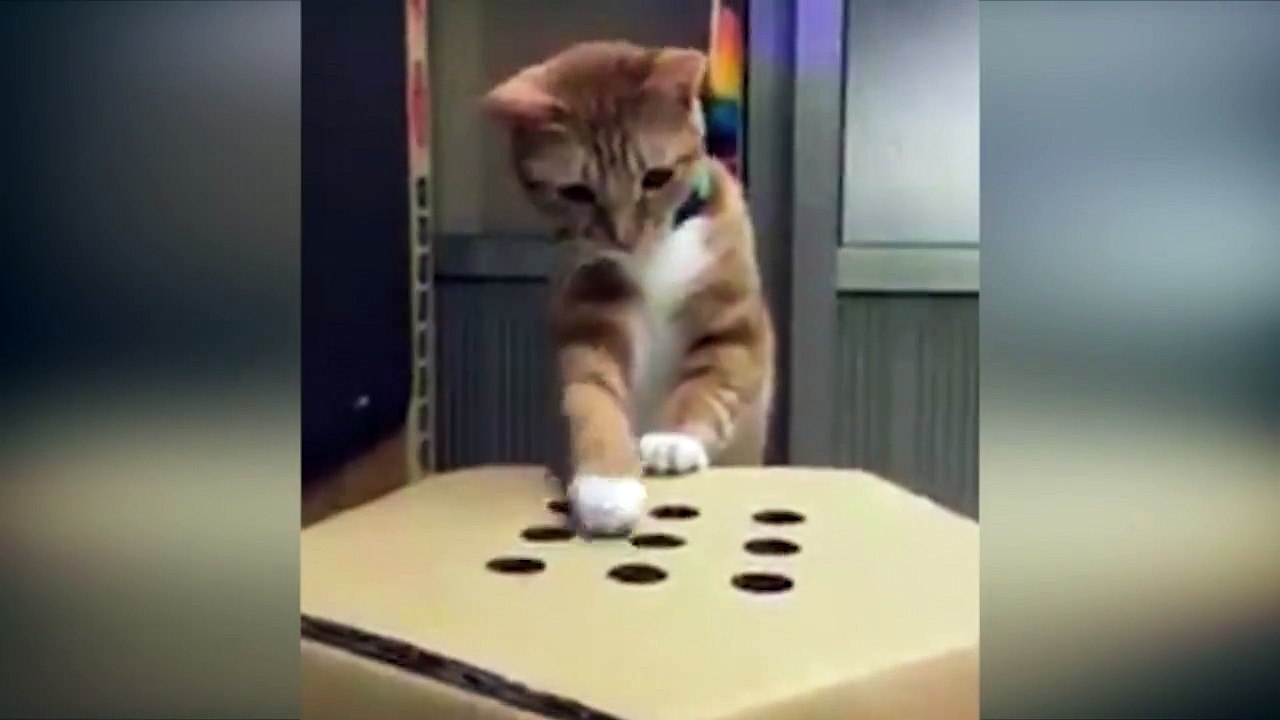 Hard work, but someone's gotta do it