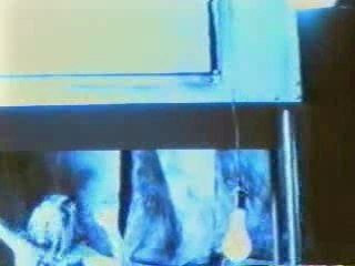 (PV) X-Japan - Dahlia