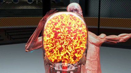 Sports Science   World Record Kick to the Groin  Part 2