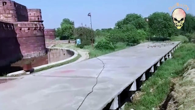 Flying ghost hunting pigeon real live footage!!! Rare footage