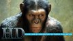 Dawn of the Planet of the Apes 2014 Film En Entier Streaming