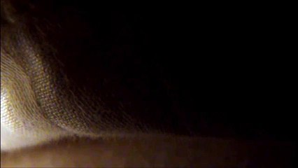 glisteningwhisper - I think you need a haircut