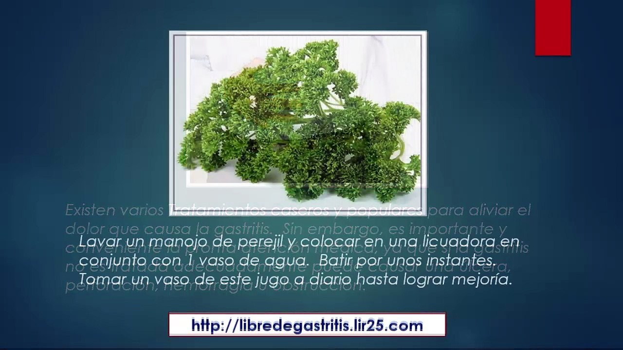Tratamiento Casero para la Gastritis