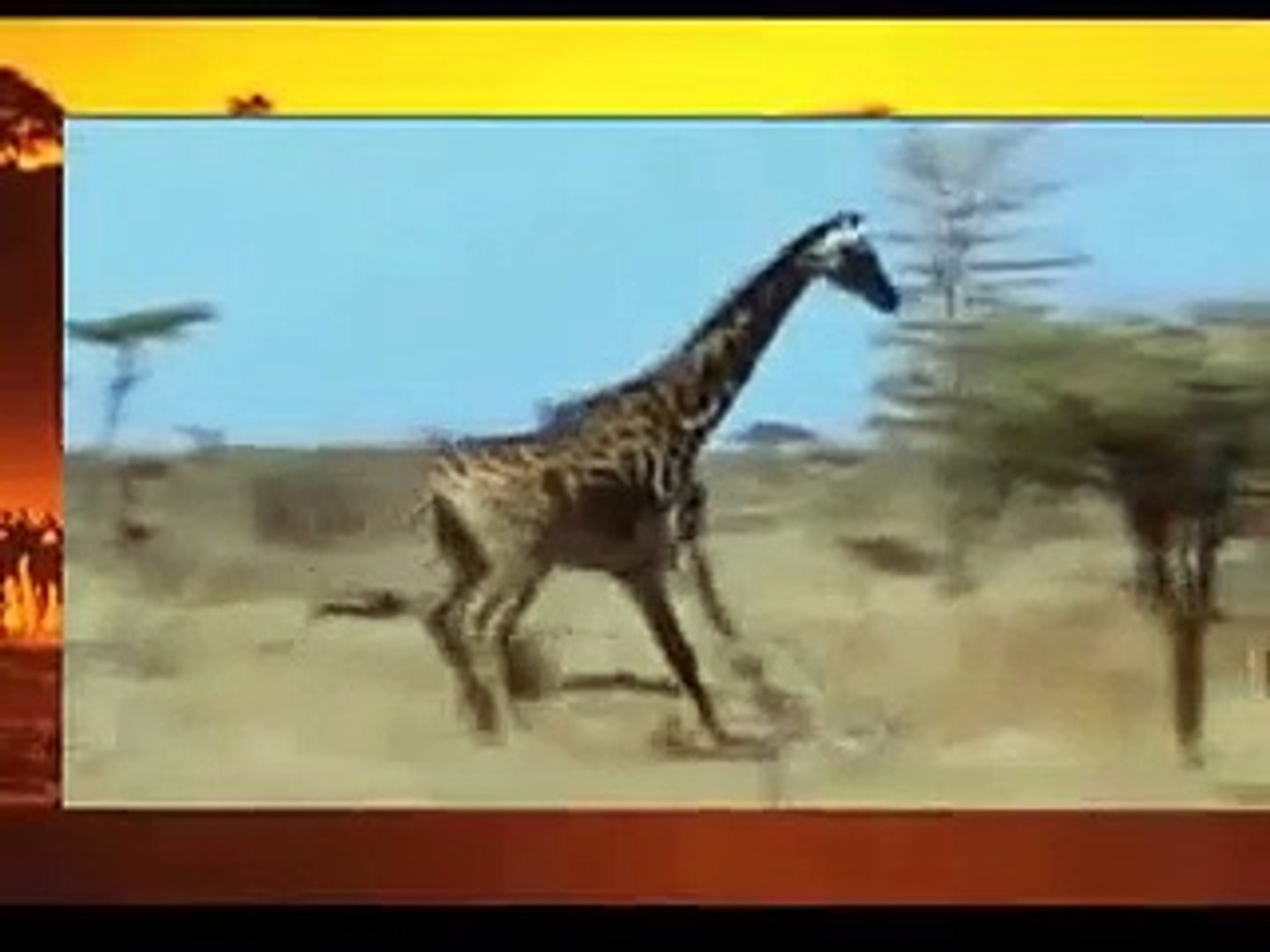 ⁣Бойцовский клуб животных!