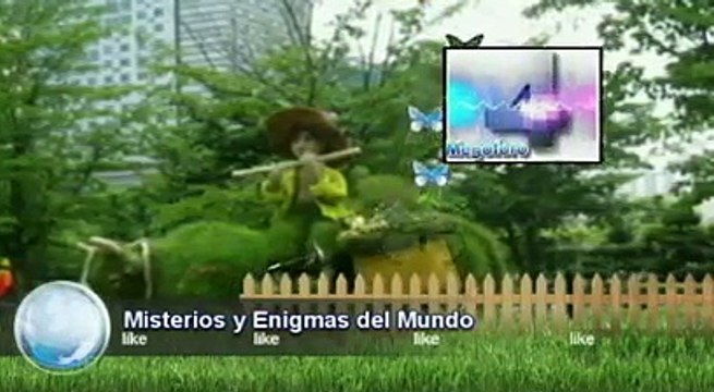 arboles en maceta, Misterios y Enigmas, Español latino