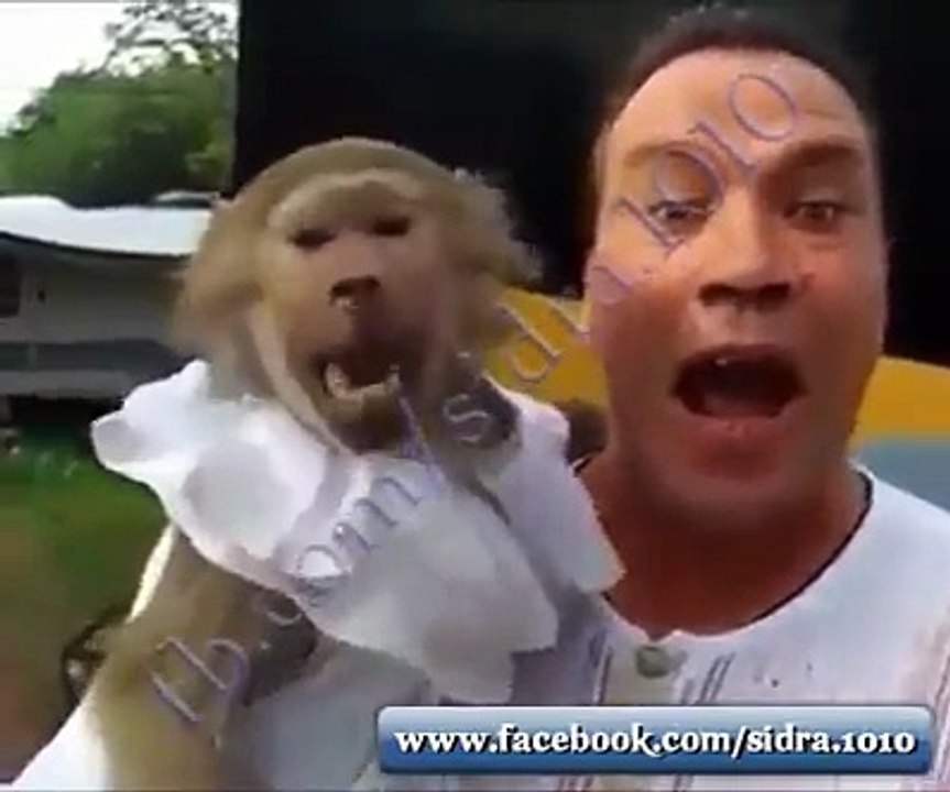 FUNNY LITTLE MONKEY