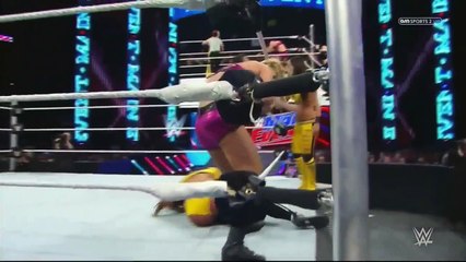 Main Event 02/27/15 Paige & Emma vs Bella Twins