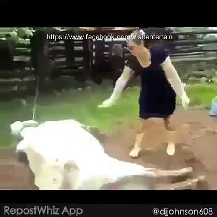 dont do that with animals