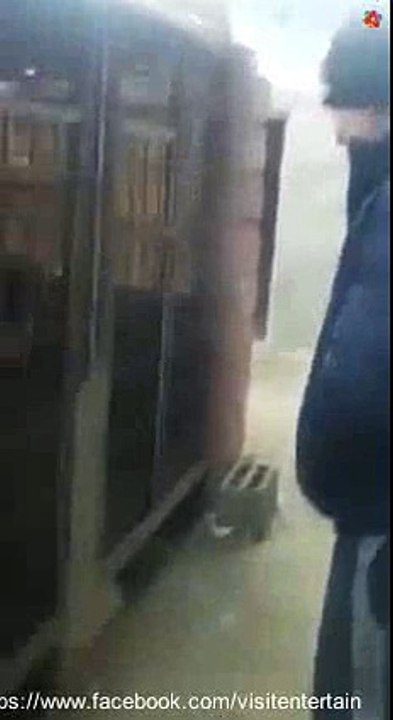 dont do that with dog again_(new)