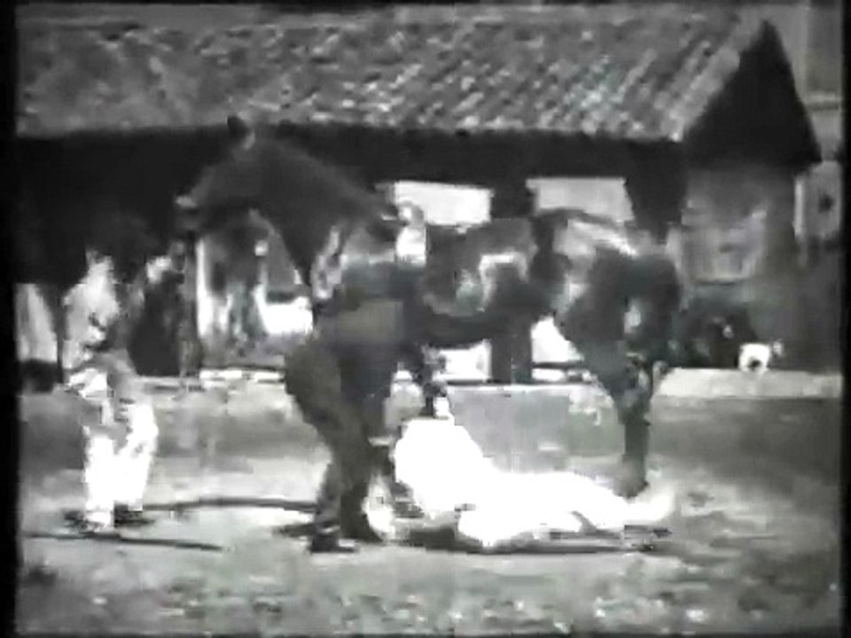 Auguste & Louis Lumière: La Voltige (1895)