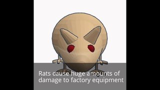 Protect Your Factory From Rats