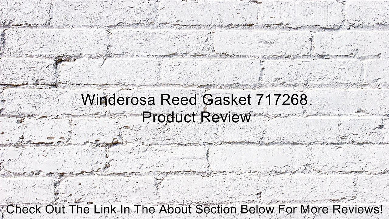 Winderosa Reed Gasket 717268 Review