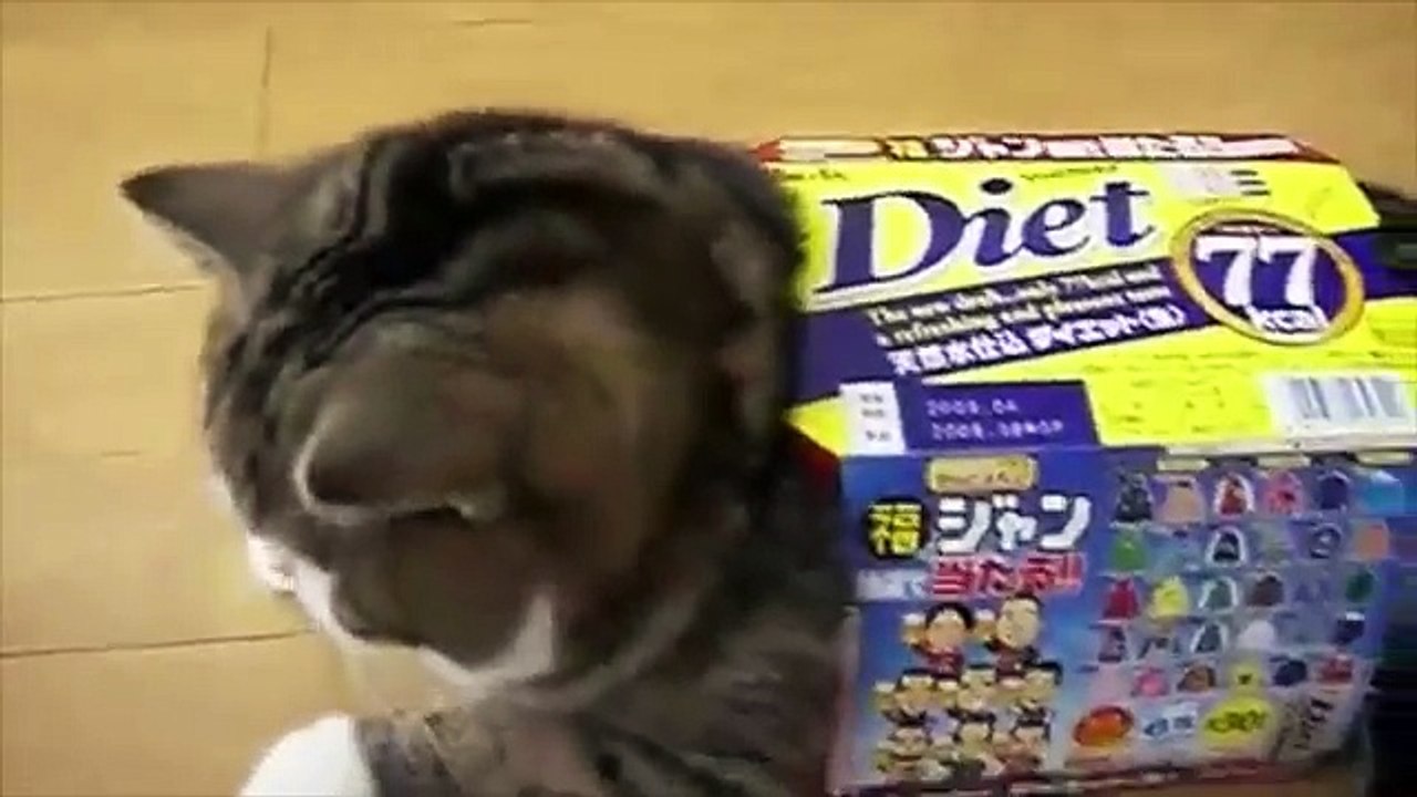 Most famous Viral video on youtube in 5 minutes