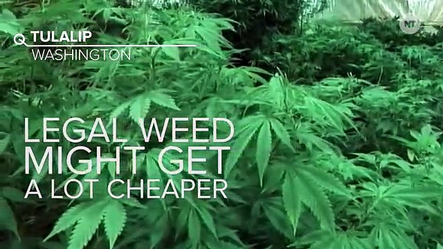 Tribal Weed Dispensaries Would Lower Prices, Help Reservations