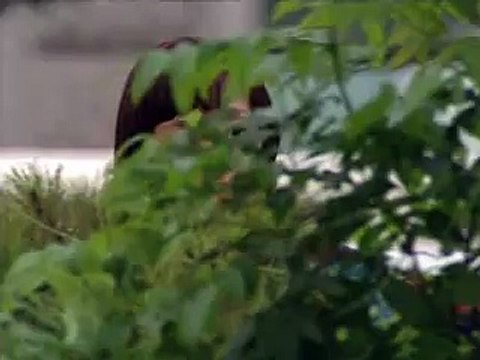 충주 건전마사지 후기 즐겨박기