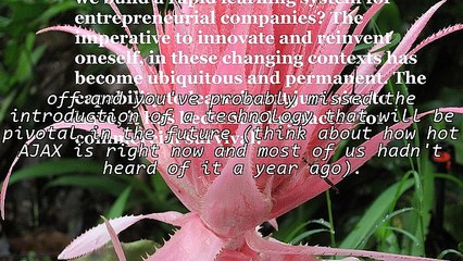 Embrace Rapid Change