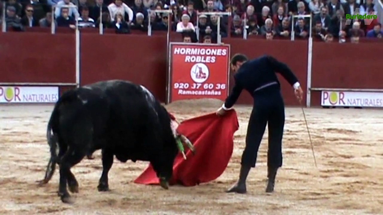 Candeleda 28 feb 2015
