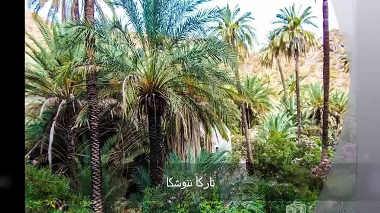 Targua n'touchka chtouka  ait baha