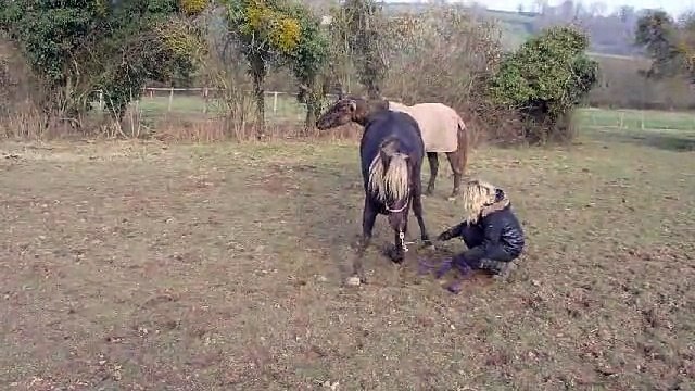 Ameerah se couche - début de pas espagnol