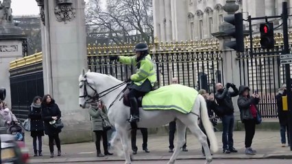 Un homme nu s'évade du Buckingham Palace