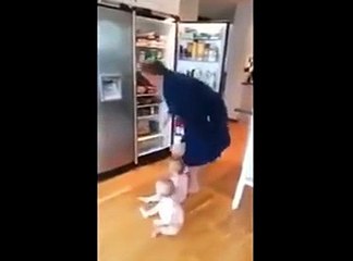 lol they are so fast and cute