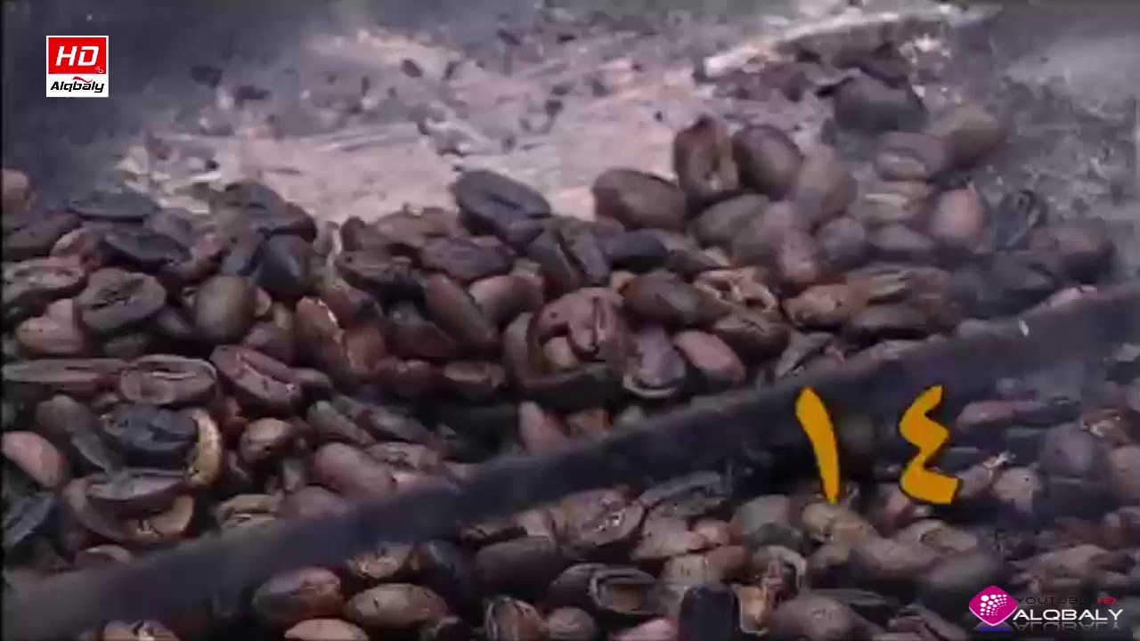 مسلسل اخر الفرسان الحلقة 14 جودة عالية