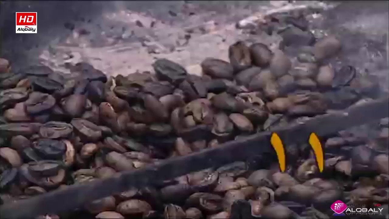 مسلسل اخر الفرسان الحلقة 11 جودة عالية