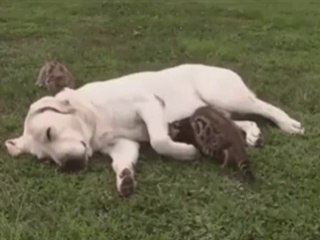 I'll just fit myself right there ^_^