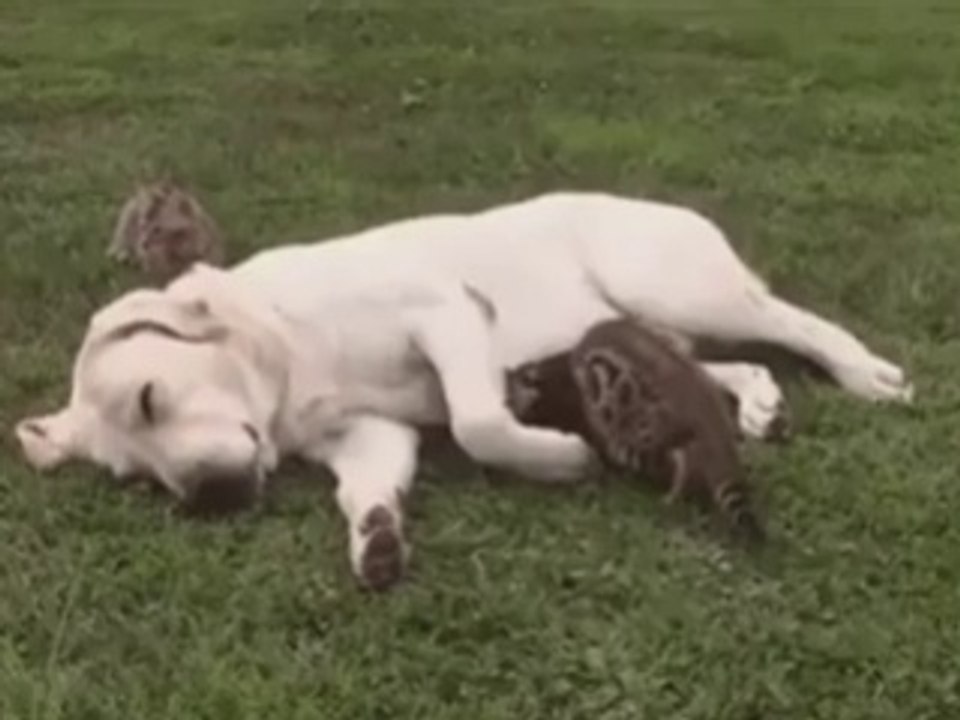 I'll just fit myself right there ^_^