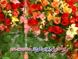 Pashto New Video Song Album Malang Bacha Hits 10