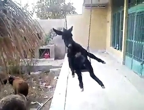 VID-20141118-WA0000.3gp