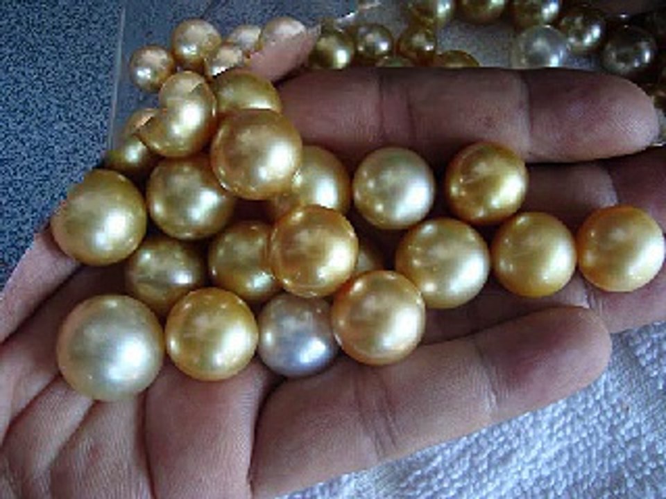 Grosir mutiara Lombok MissJoaquim.com  HP-Whatsapp +6287865026222