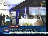 Presidentes de Uruguay y Brasil inauguran parque eólico