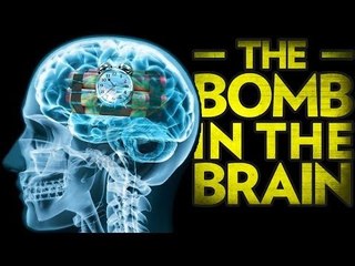The Bomb in the Brain: Brain Development and Violence with Stefan Molyneux