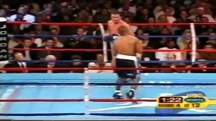 Roy Jones Jr. Perfect Fighter Highlights