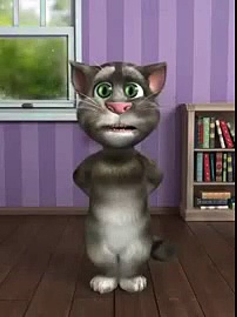 Talking Tom Speaks punjabi funny video