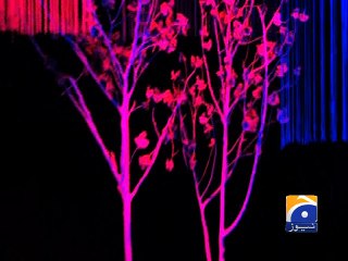 NAPA Music Festival-Karachi-01 Mar 2015