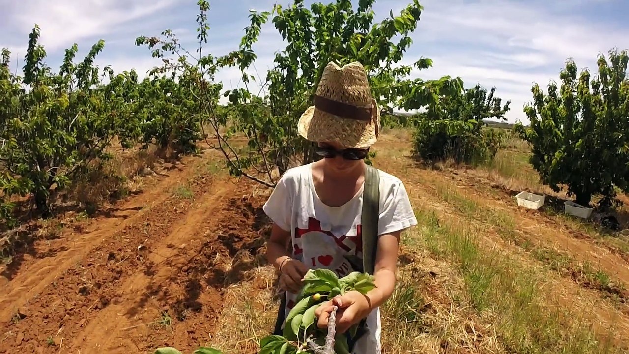 JUANDJUE in Australia Episode 2
